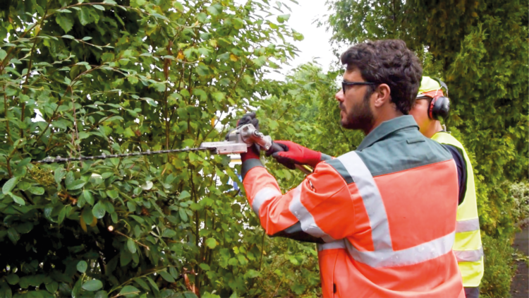 apprentissage, esat de transition