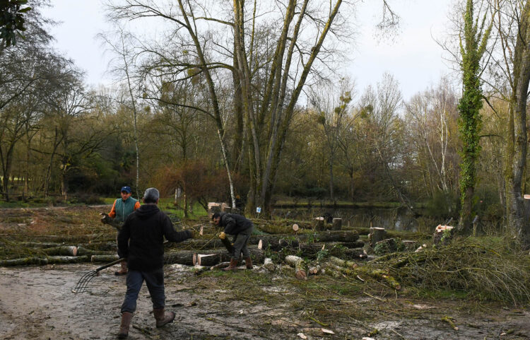 emploi, espaces verts