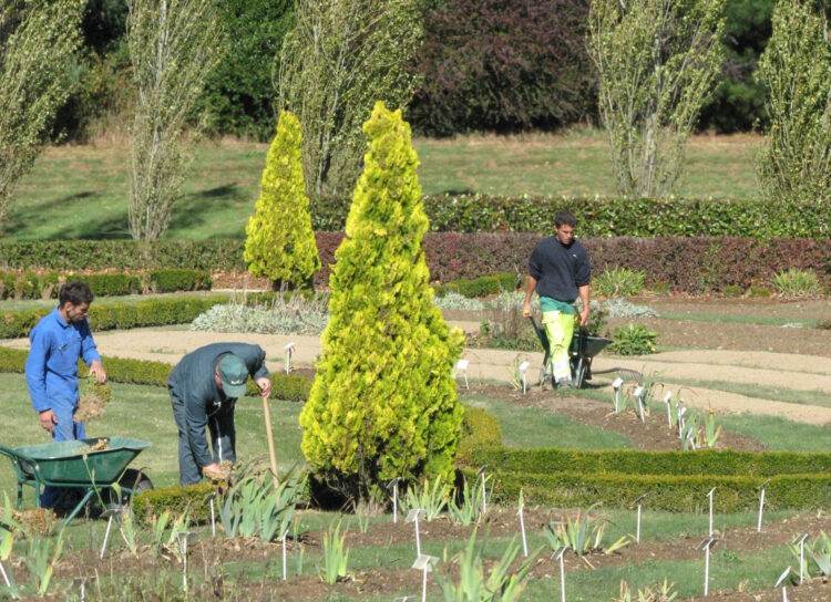 jardinage, accompagnement, esat