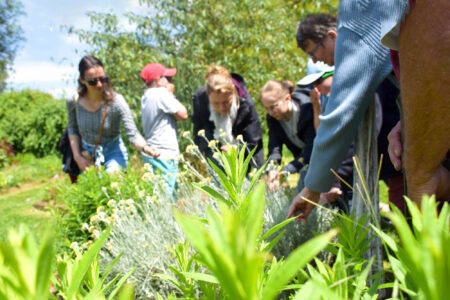 balade, groupe, jardin