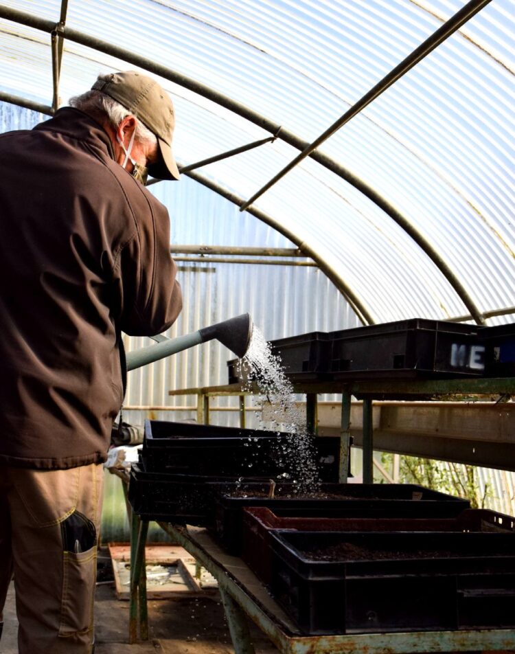 arrosage, serre Jardins de Brocéliande