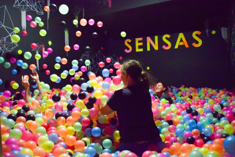 piscine à balles, SENSAS Rennes