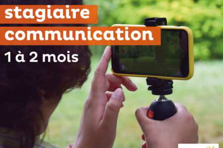 photo de stagiaire en communication